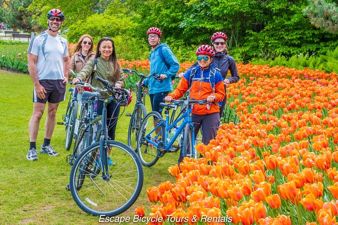 Ottawa tulip festival on a bicycle