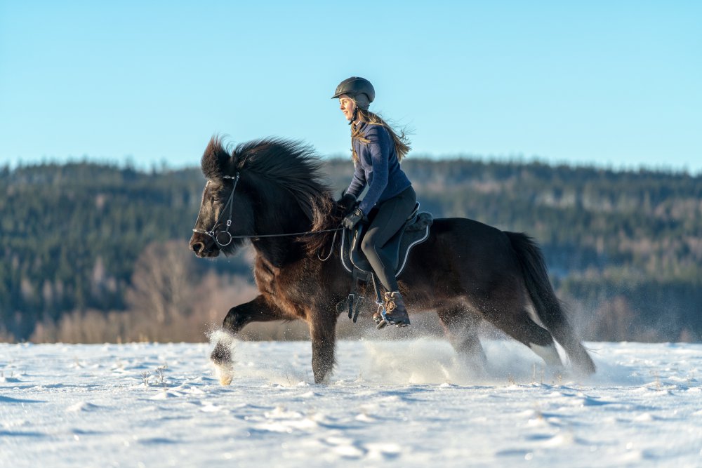 horse-riding-winter-bucket-list