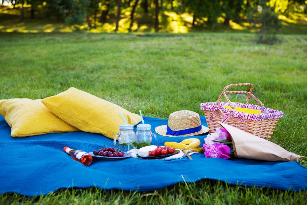 spring-activities-picnic.jpeg